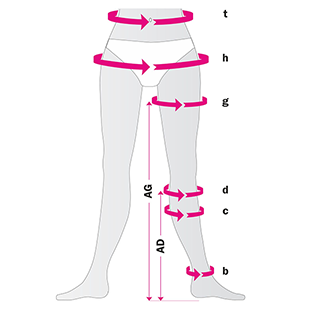 Пропорции ног к туловищу