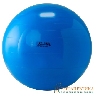 Фото: Мяч гимнастический Gymnic Body ball 65 см синий