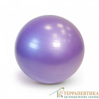 Фото: Мяч гимнастический Gуmnic Plus 65 см фиолетовый
