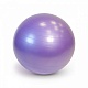 Фото: Мяч гимнастический Gуmnic Plus 65 см фиолетовый - вид 1