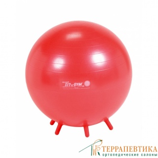 Фото: Мяч гимнастический Gymnic Sit 'n' Gym 55 см красный