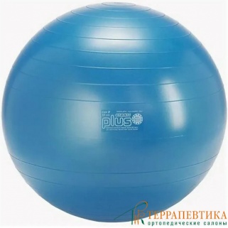 Фото: Мяч Фитбол Gуmnic Classic Plus 65 см синий
