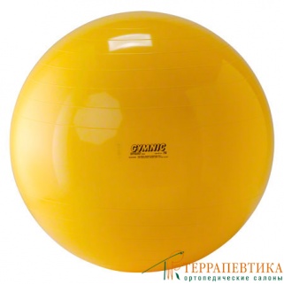 Фото: Мяч гимнастический Gymnic Body ball 75 см желтый	