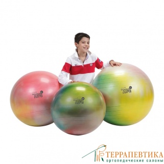 ����: ��� G�mnic Arte 65 ��
