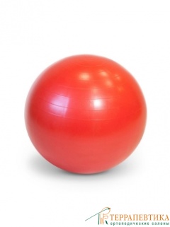 Фото: Мяч Фитбол Gуmnic Classic Plus 55 см красный
