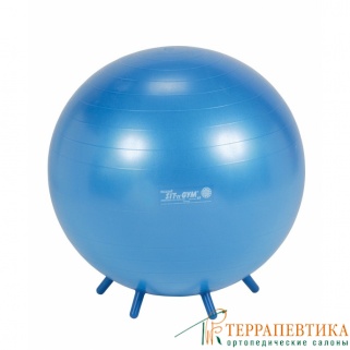 Фото: Мяч гимнастический Gymnic Sit 'n' Gym 65 см синий