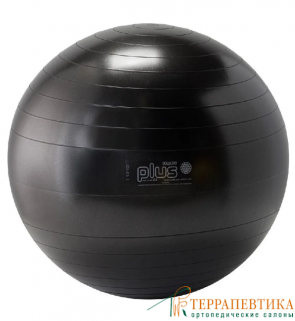 Фото: Мяч гимнастический Gуmnic Plus 65 см черный
