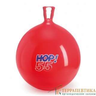 ����: ��� ������ � ������ Gymnic Hop 55 �� �������
