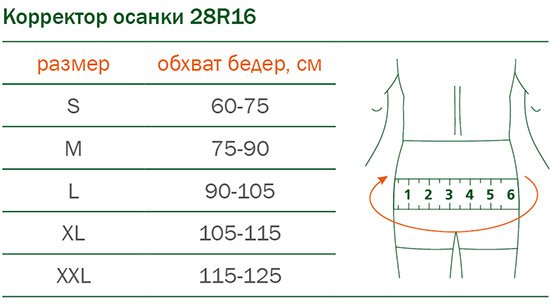 Подбор размера корректора осанки Ottobock 28R16